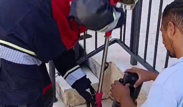 Havalandırma borusunda ölümü bekleyen yavru kediyi miyavlaması kurtardı