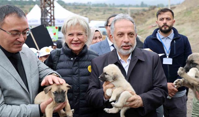 Hayvanları Koruma Günü, Talas Pati Evi Doğal Yaşam Alanı'nda kutlandı
