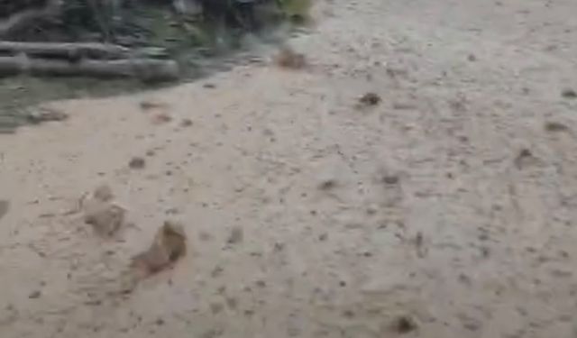 Hekimhan'da sağanak yağış sele neden oldu