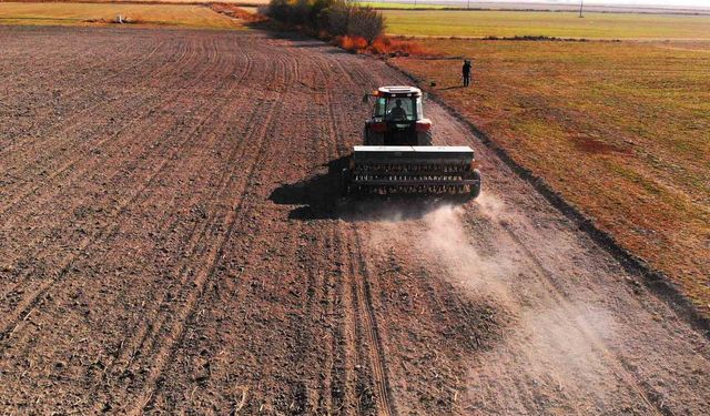 Hububat ekim sezonu için kritik uyarı