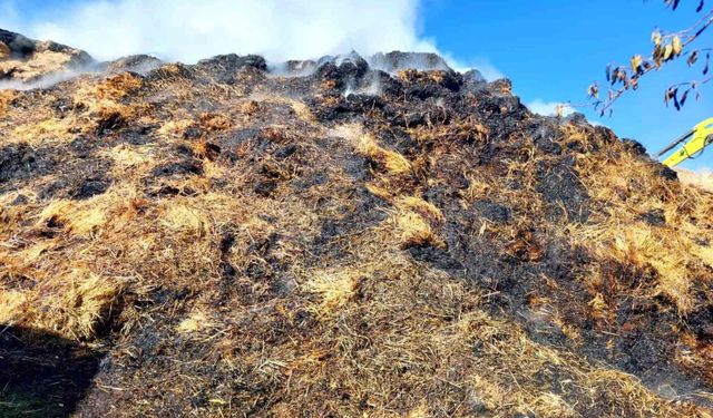 Isparta'da çıkan yangında bin 150 balya kül oldu