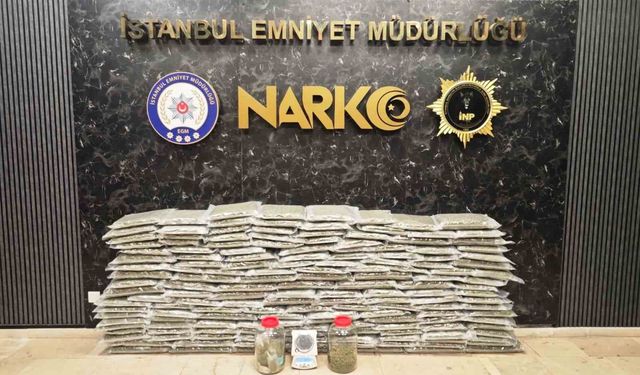 İstanbul ve Kocaeli'de uyuşturucu operasyonu: 100 kilo skunk maddesi ele geçirildi