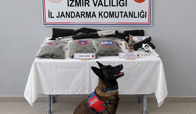 İzmir'de jandarmadan uyuşturucu operasyonu
