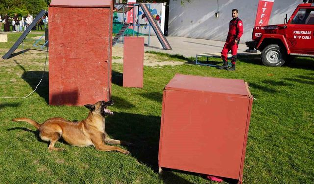 K9 köpekler hünerlerini sergiledi: Saklanan çocukları saniyeler içinde buldular