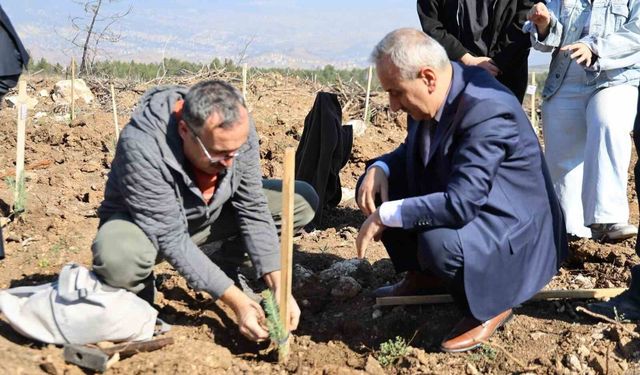 Karabük'te 250 fidan toprakla buluştu