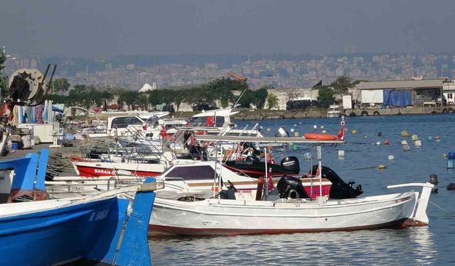 Karadeniz'de palamut alarmı: 'Önüne ne gelirse yiyor, bir an önce hepsinin tutulması gerekiyor'