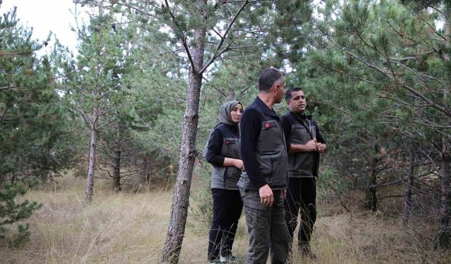 Kars'a yeni yeşil yaşam alanı geliyor: Kent ormanı için düğmeye basıldı
