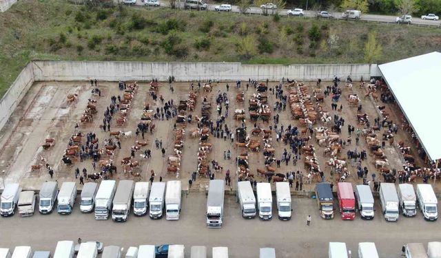 Kastamonu'da canlı hayvan pazarları kapatıldı