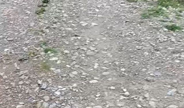 Kazanın ardından felç kaldı, şimdi yoluna çözüm bekliyor