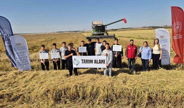 Keşan'da gençler çeltik hasadını yerinde deneyimledi