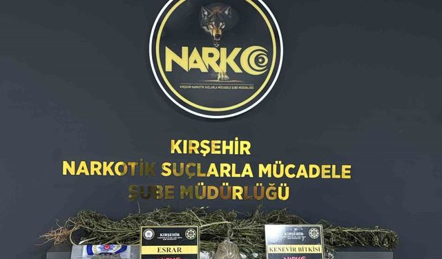 Kırşehir'de uyuşturucu operasyonu: 1 tutuklama