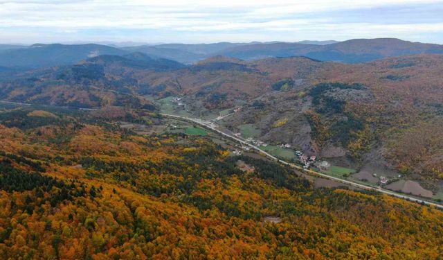 Küre Dağları Milli Parkında renk cümbüşü yaşanan ormanlar büyülüyor