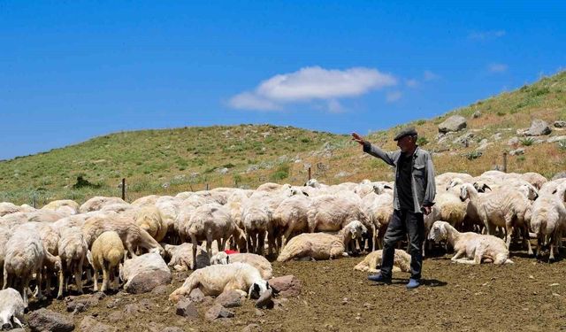 Malatya Büyükşehir Belediyesi 35 yıllık soruna neşter vurdu
