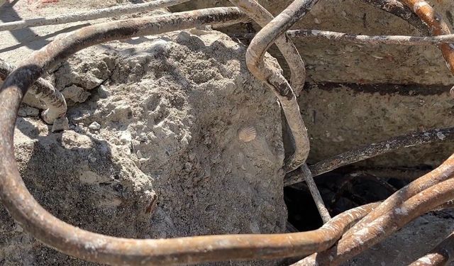 Maltepe'de çöken binanın beton örneklerinde deniz kabuğu görüldü