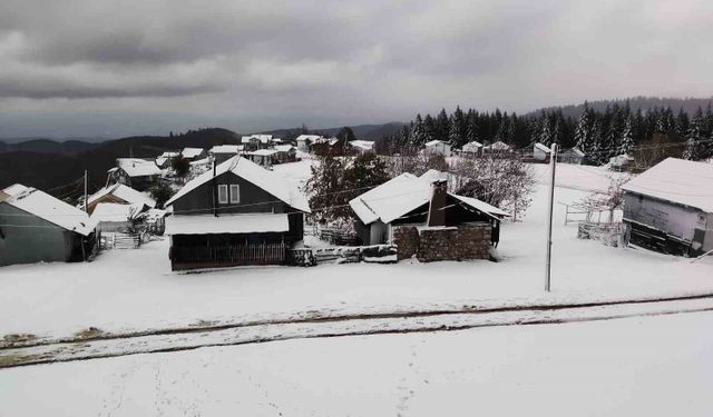 Mevsimin ilk karı Sakarya'nın zirvelerine düştü: Yaylalar beyaza büründü