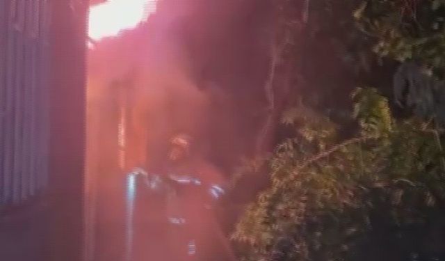Müstakil ev alevlere teslim oldu