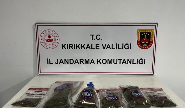 Narkotik köpeği 'Evin' uyuşturucuyu tespit etti: Bahçede kenevir ve esrar ele geçirildi