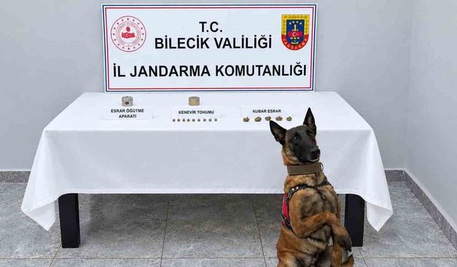 Narkotik köpeği uyuşturucuyu kokusundan buldu
