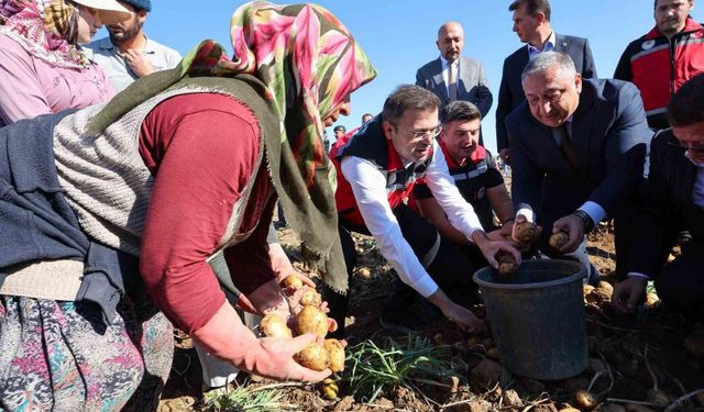Niğde'de yerli patates çeşitlerinin hasadı yapıldı