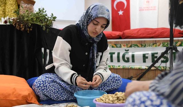 Osmaniye'de üniversiteli kızlar fıstık kırma yarışmasında kıyasıya mücadele etti