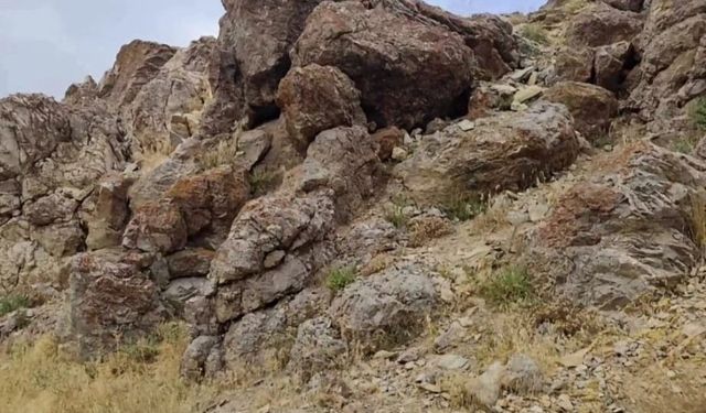Özalp'te yıldırım faciası: 14 yaşındaki çocuk hayatını kaybetti