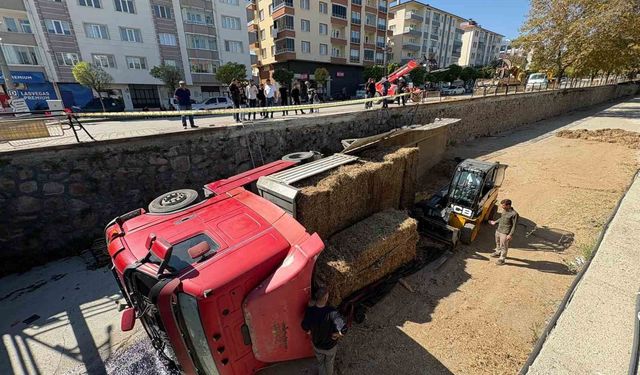 Park halindeyken hareket eden tır çaya uçtu