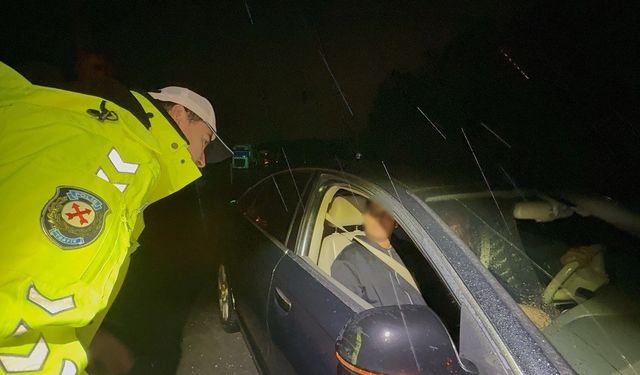 Sakarya'da D-650 kara yolunda tedbir amaçlı trafik durduruldu