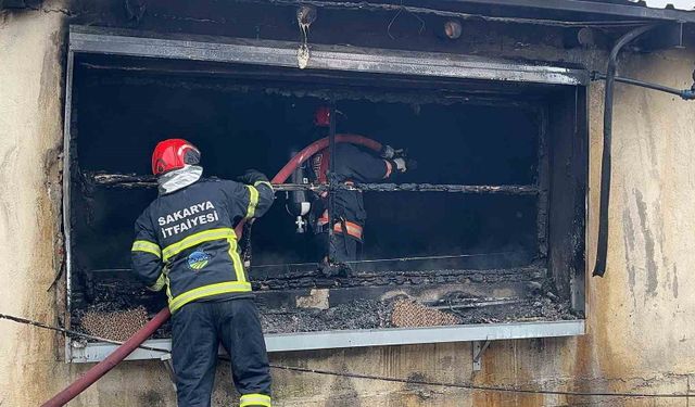 Sakarya'da tavuk çiftliğinde çıkan yangın söndürüldü