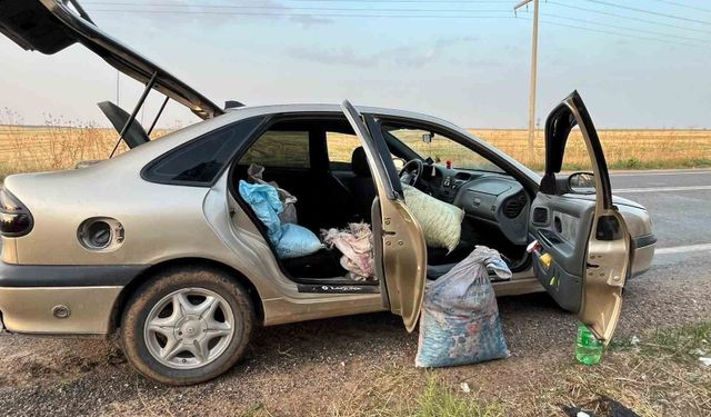 Şanlıurfa'da 4 fıstık hırsızı suçüstü yakalandı