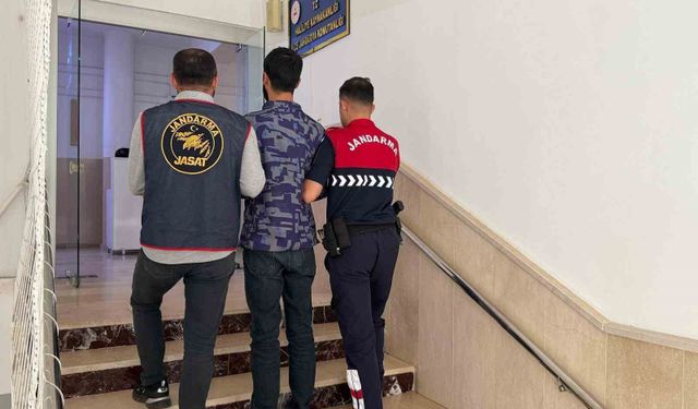 Şanlıurfa'da 5 yıl kesinleşmiş hapis cezası bulunan hükümlü yakalandı