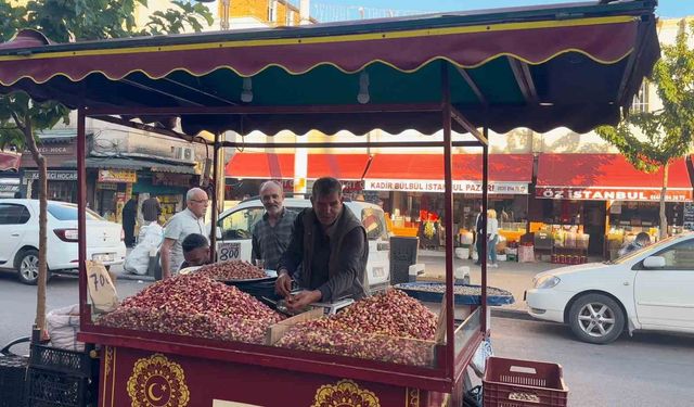 Şanlıurfa'da fıstık satışında bu yıl TEKNOFEST bereketi yaşandı