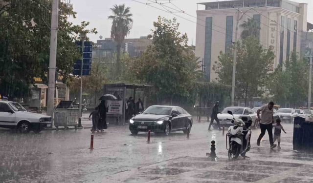 Şanlıurfa'da yağış etkili oldu