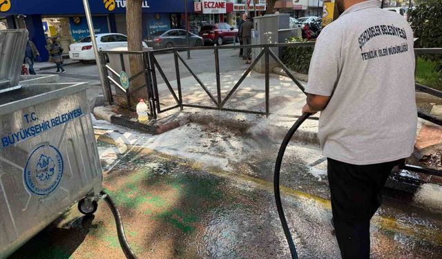 Şehzadeler'de temizlik seferberliği