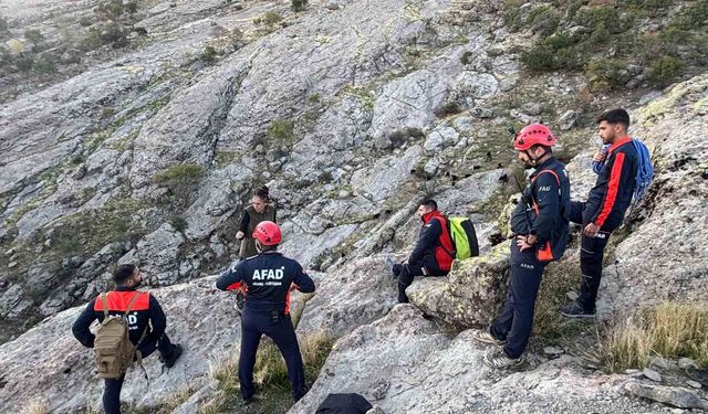 Tunceli'de kayalıklarda mahsur kalan keçileri AFAD kurtardı