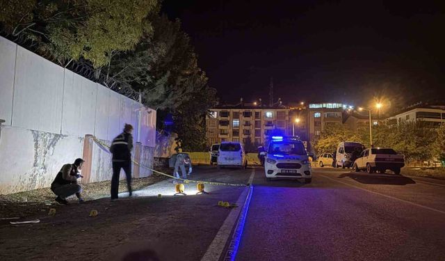 Tunceli'de silahlı kavgada 1 kişiyi yaralayan şüpheli tutuklandı