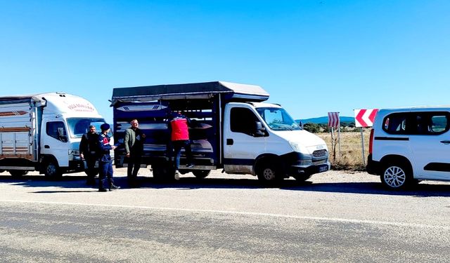 Uşak'ta hayvan sağlığı için yol kontrolleri sürüyor