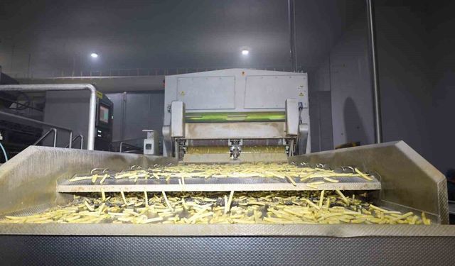 Vali Aktaş patates üretimi tesisini gezdi