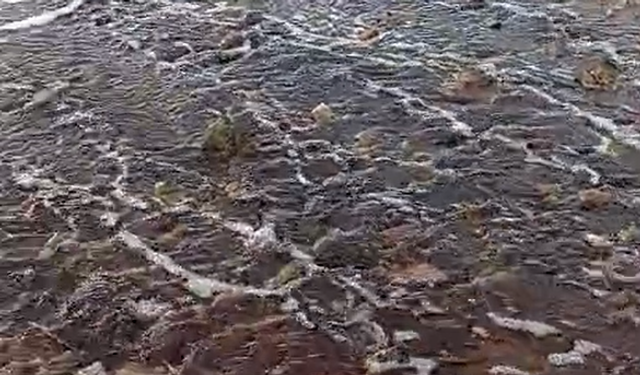 Yalova'da kırmızı renkli su denize döküldü