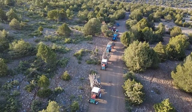 Yozgat'ta imece usulü kışlık odun mesaisi sürüyor
