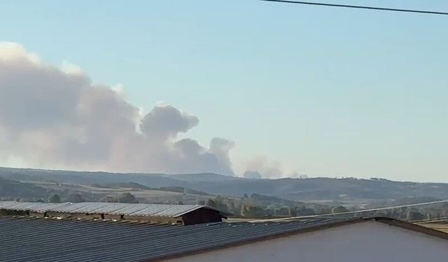 Yunanistan'daki yangında oluşan yoğun duman Meriç'ten de görülüyor