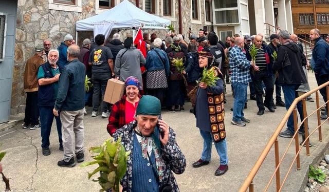 Hemşin’de 500 Kestane Fidanı Dağıtıldı: Hedef 10 Bin Fidan