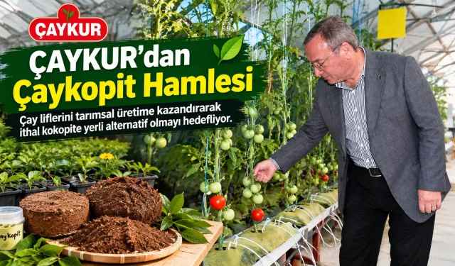 Rize’den Ekonomiye Katkı: Çay Atıkları Çaykopit Oldu