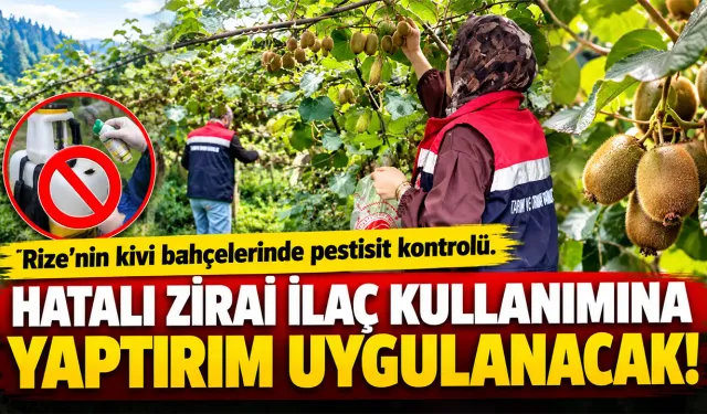 Rize'nin kivi bahçelerinde pestisit kontrolü