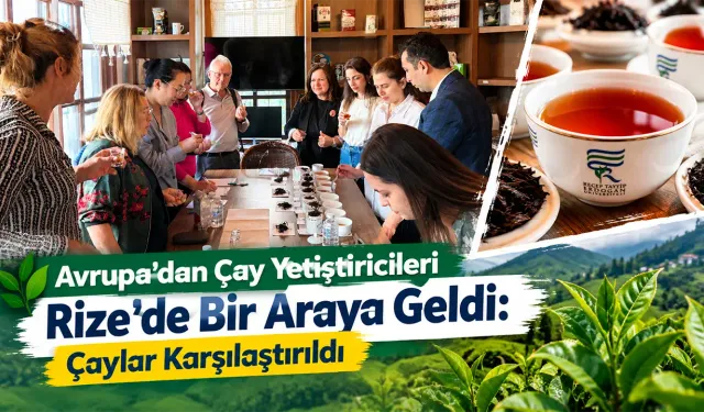Avrupa Çay Yetiştiricileri Rize’de Bir Araya Geldi