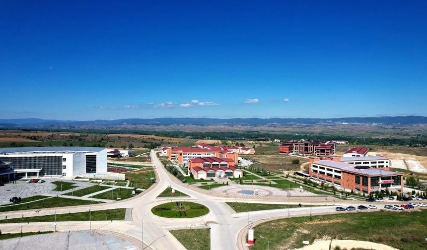 Bu proje ile ahşap bisküvi plastiğe alternatif olacak