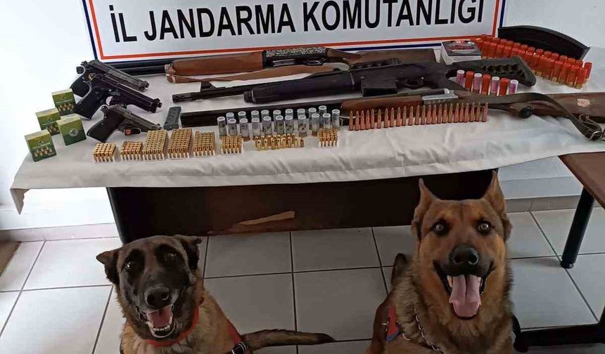 Jandarmadan ruhsatsız tabanca ve tüfek operasyonu