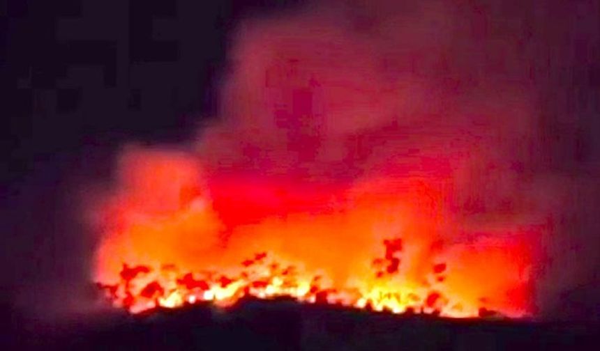 Çankırı’da 2 gün süren orman yangını söndürüldü