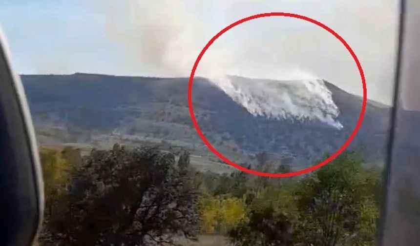 Çankırı’da orman yangını kontrol altına alındı