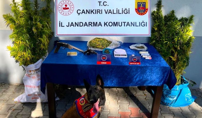 Çankırı’da uyuşturucu operasyonu: 2 gözaltı