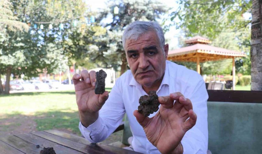 Mantar toplarken bulduğu taşlara gözü gibi bakıyor